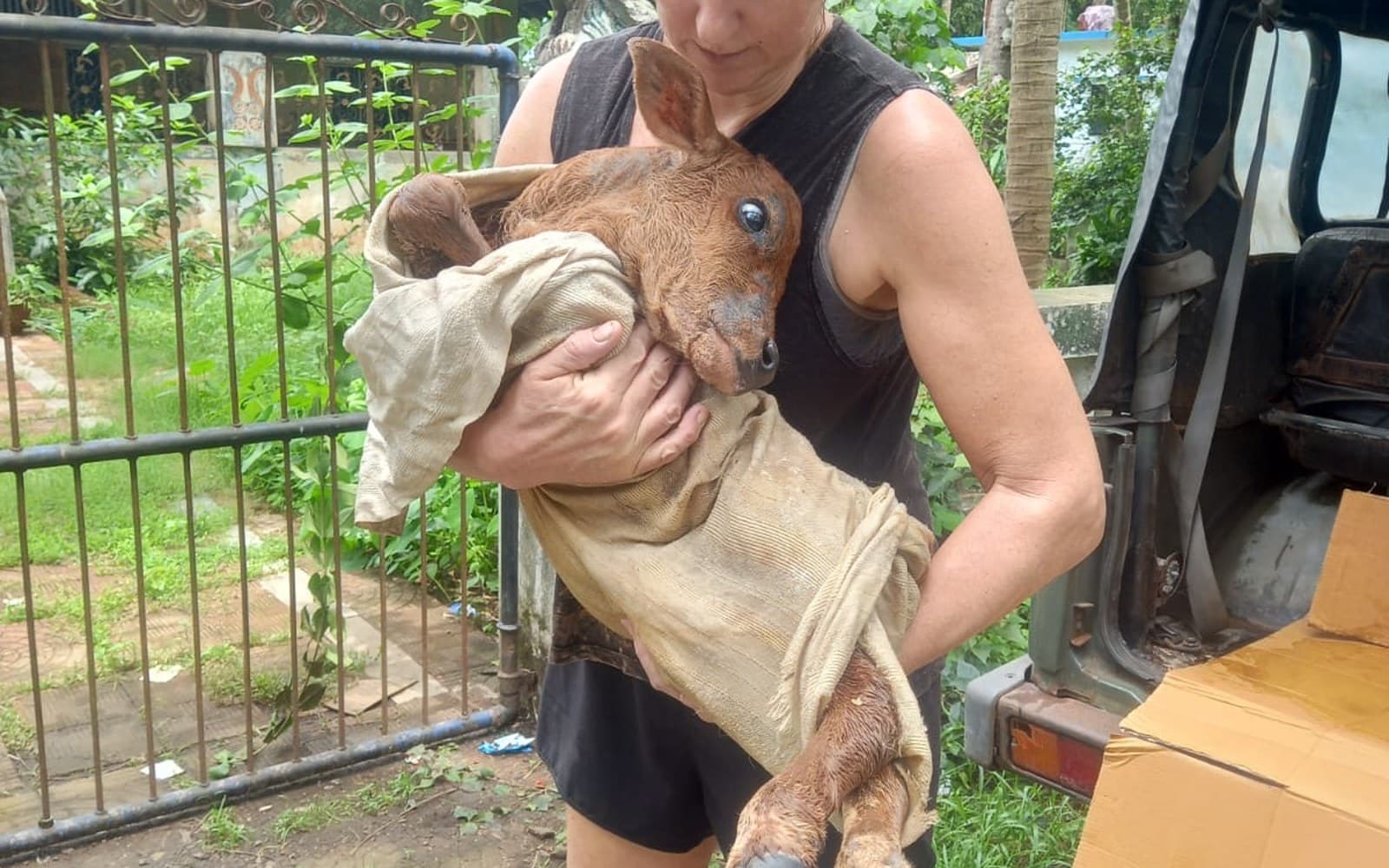 Donations to the Mahabali Animal Ashram